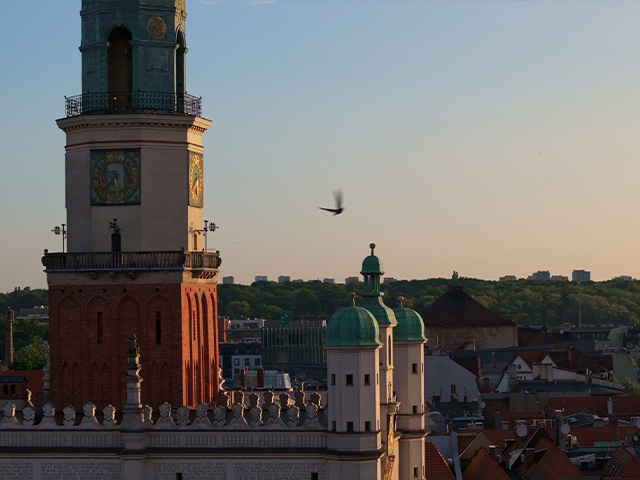 Dron Video